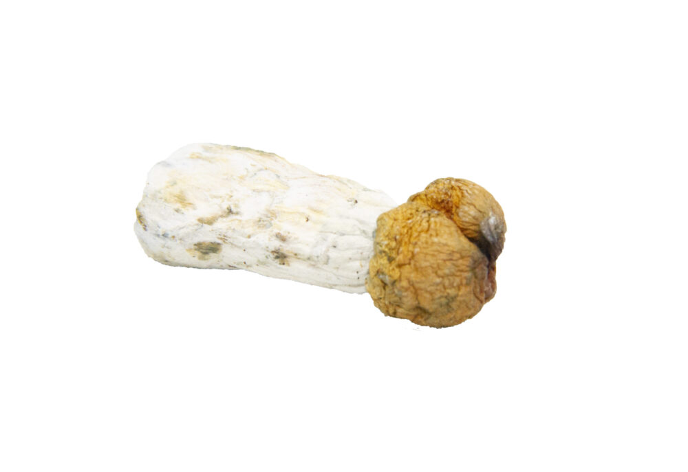 Buy Trinity Online at Cannafarmacy