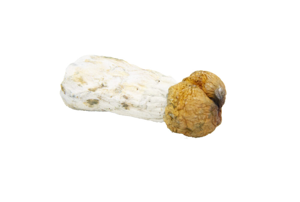 Buy Trinity Online at Cannafarmacy