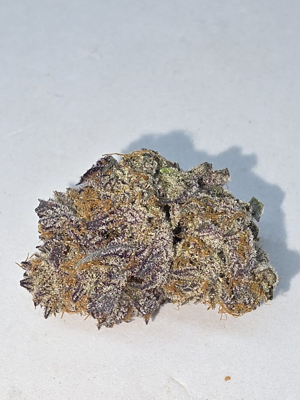 Wetty Betty